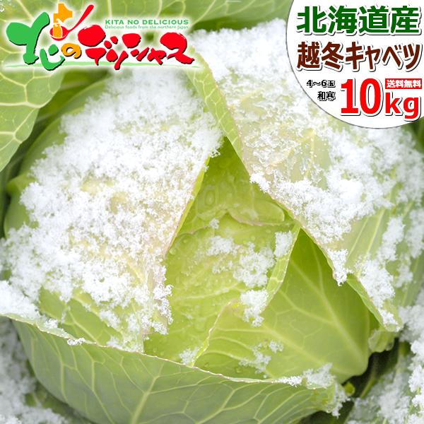 【予約】北海道 和寒町産 キャベツ 10kg (JA共撰/3玉〜6玉入り/越冬後) わっさむ 雪の下キャベツ 冬キャベツ 越冬野菜 ギフト 北海道 グルメ お取り寄せ | ブランド登録なし