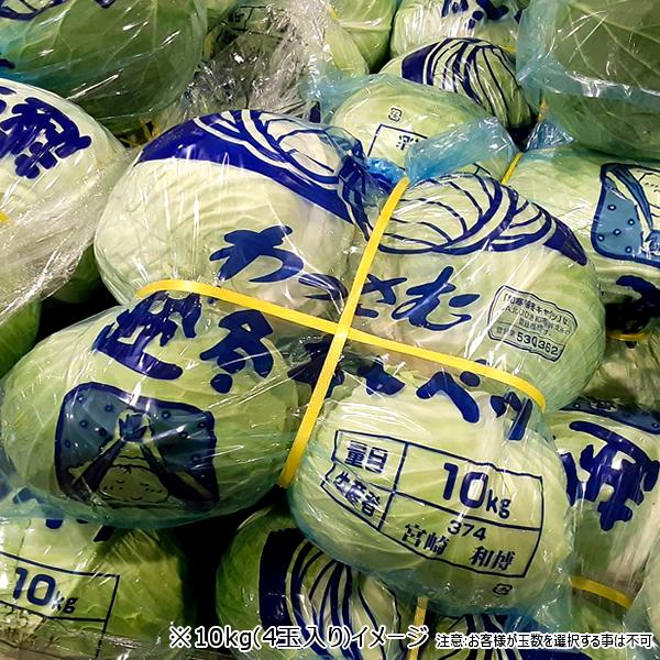【予約】北海道 和寒町産 キャベツ 5kg (JA共撰/2玉〜3玉入り/越冬前) わっさむ 雪の下キャベツ 冬キャベツ 冬野菜 ギフト 北海道 グルメ お取り寄せ | ブランド登録なし | 06