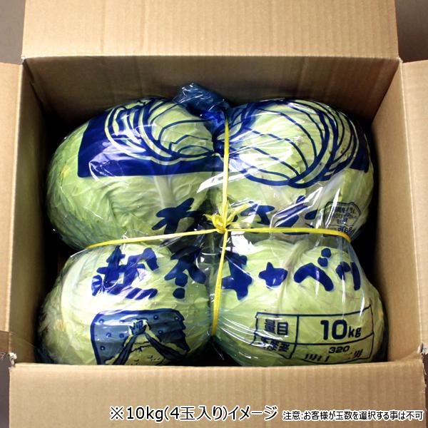 【予約】北海道 和寒町産 キャベツ 5kg (JA共撰/2玉〜3玉入り/越冬前) わっさむ 雪の下キャベツ 冬キャベツ 冬野菜 ギフト 北海道 グルメ お取り寄せ | ブランド登録なし | 07