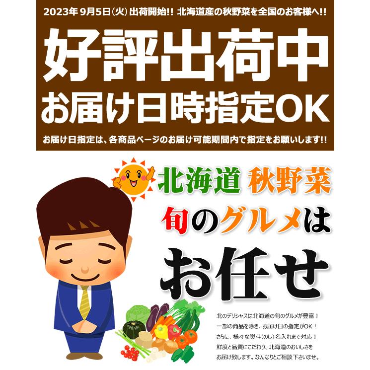 【出荷中】北海道産 越冬 じゃがいも 訳あり キタアカリ 10kg (M〜LMサイズ) ご家庭用 きたあかり 馬鈴薯 新じゃが 野菜 秋野菜 北海道 お取り寄せ｜g-hokkaido｜13