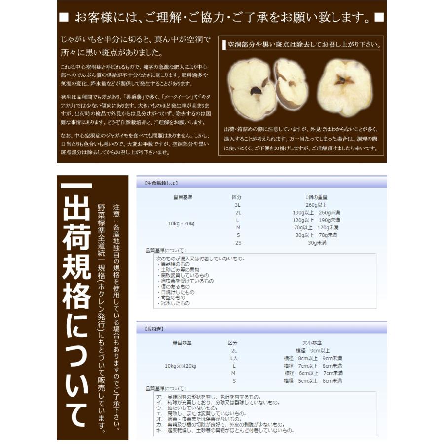 予約】北海道産 新じゃが じゃがいも メークイン 10kg (JA共撰/常温便