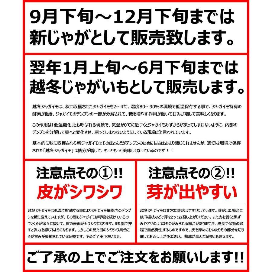 【終了間近】北海道産 訳あり 越冬 じゃがいも 10kg (品種・サイズお任せ) ジャガイモ 馬鈴薯 野菜 秋野菜 自宅用 家庭用 ギフト不可 北海道 グルメ お取り寄せ｜g-hokkaido｜10