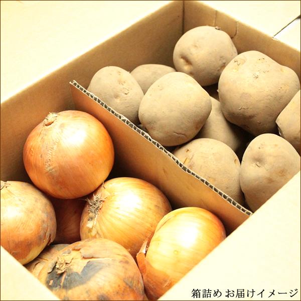 北海道産 越冬 野菜セットC 10kg (キタアカリ 7kg・玉ねぎ 3kg) 旬 じゃがいも 玉葱 野菜 ギフト セット 詰め合わせ 北海道 グルメ お取り寄せ｜g-hokkaido｜07