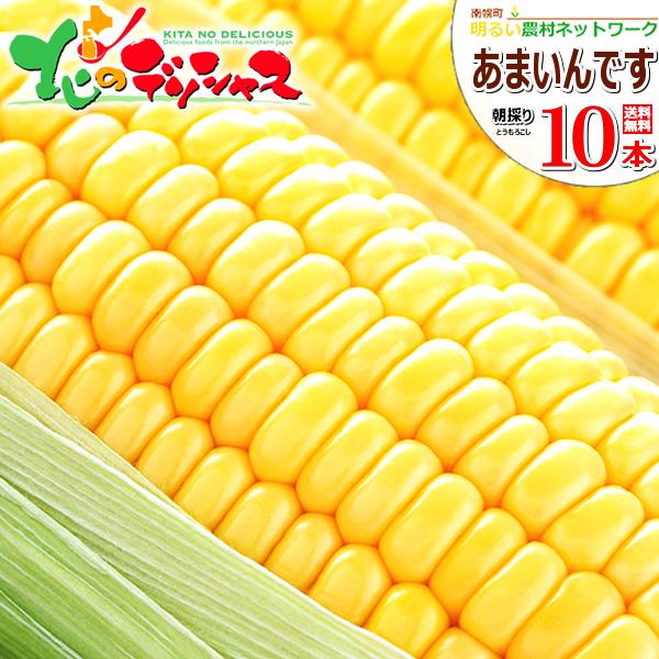 【予約】とうもろこし あまいんです 10本 (黄色/クール冷蔵) 北海道産 南幌町明るい農村ネットワーク 朝採り 新鮮 激甘 種 トウモロコシ 野菜 爆買 お取り寄せ（Yahoo!・北のデリシャス）