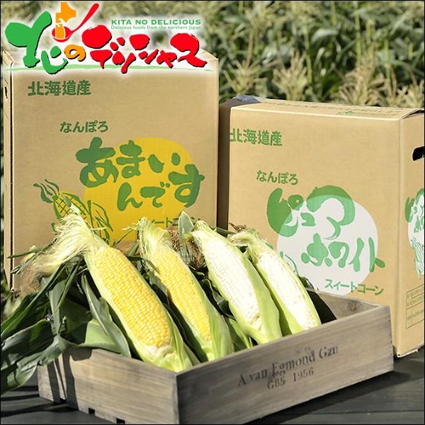 予約】とうもろこし 食べ比べ 10本 (白5本・黄5本/冷蔵便) 北海道産  