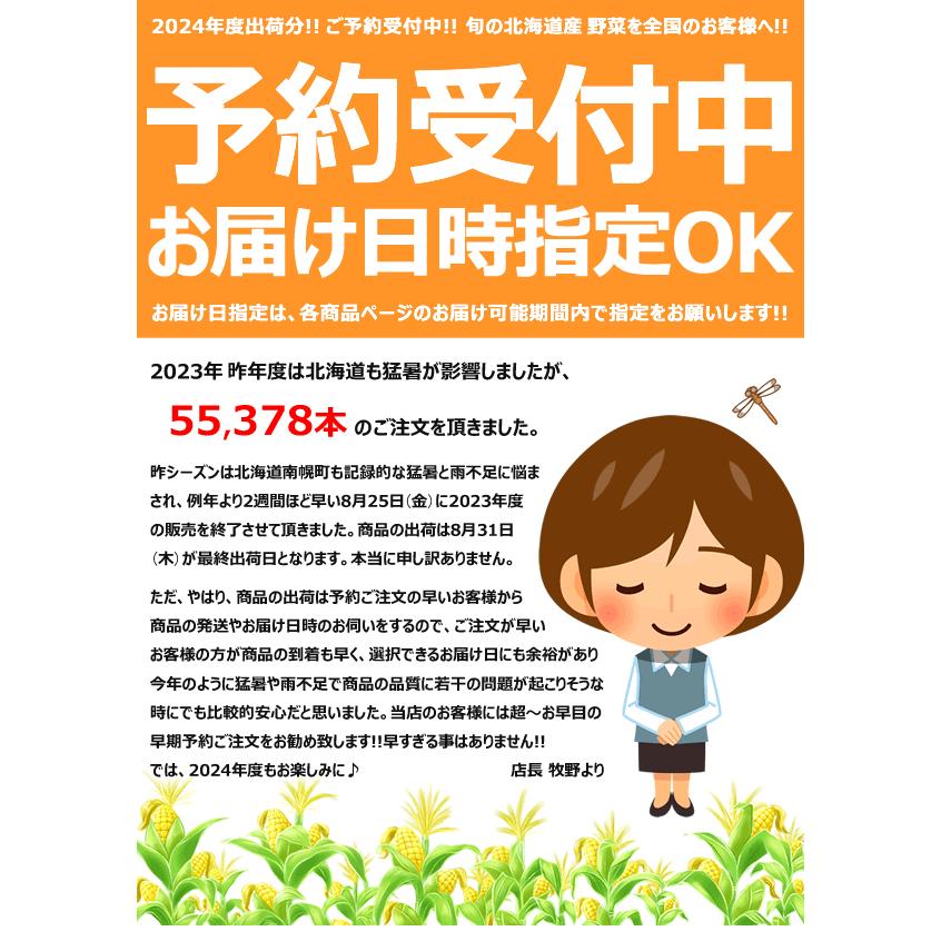 【予約】とうもろこし 食べ比べ 6本 (白3本・黄3本/冷蔵便) 北海道産 朝採り コーン とうきび 南幌町明るい農村ネットワーク ギフト 送料無料 お取り寄せ｜g-hokkaido｜13