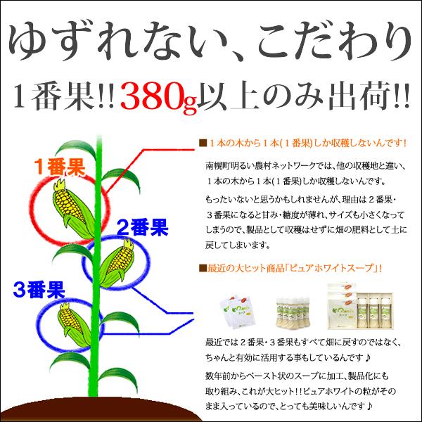 【予約】とうもろこし 食べ比べ 6本 (白3本・黄3本/冷蔵便) 北海道産 朝採り コーン とうきび 南幌町明るい農村ネットワーク ギフト 送料無料 お取り寄せ｜g-hokkaido｜10