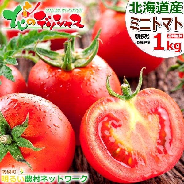 804円 超激安特価 出荷間近 北海道産 南幌町 ミニトマト 1kg ラブリー藍orアイコ トマト 残暑見舞い ギフト プレゼント 自宅用 家庭用 人気 野菜 グルメ 送料無料 お取り寄せ