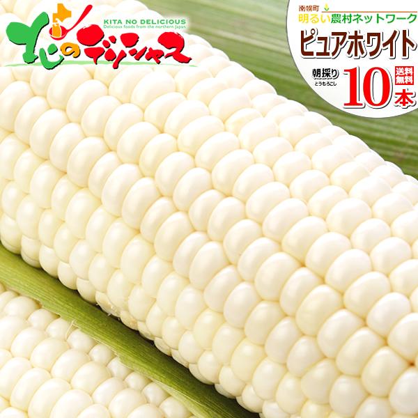 【予約】とうもろこし ピュアホワイトSP 10本 (クール冷蔵便) 北海道産 南幌町明るい農村ネットワーク 朝採り 新鮮 激甘 種 トウモロコシ 野菜 爆買 お取り寄せ（Yahoo!・北のデリシャス）