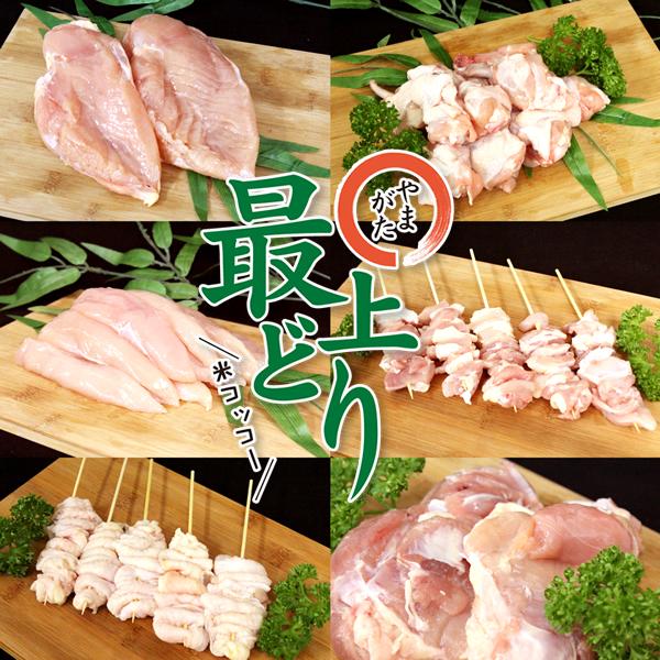 やまがた最上どり 焼き鳥セット (5本セット×5袋/冷凍品) 株式会社アイオイ やきとり 焼鳥 おつまみ 居酒屋 BBQ 自宅用 山形 グルメ お取り寄せ｜g-hokkaido｜05