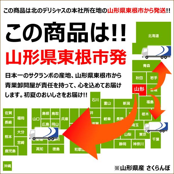 【販売終了】山形県産 さくらんぼ 佐藤錦 (秀品/Lサイズ/24粒/化粧箱) 2024 ギフト 贈り物 贈答 お祝い お礼 お返し 内祝い 果物 フルーツ お取り寄せ｜g-hokkaido｜18