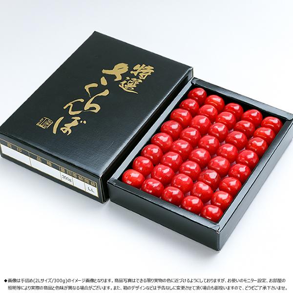 まだ間に合う!母の日お届け!山形県産 さくらんぼ 佐藤錦 300g まだ間に合う!母の日お届け!山形県産 さくらんぼ 佐藤錦 300g