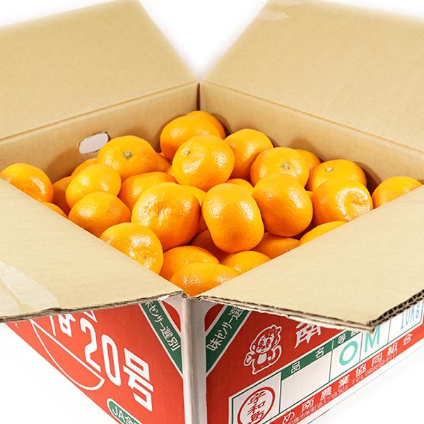 予約】産地厳選 国産 みかん 温州みかん 10kg (秀品/S-2L/常温便 予約】産地厳選 国産 みかん 温州みかん 10kg (秀品/S-2L/常温便