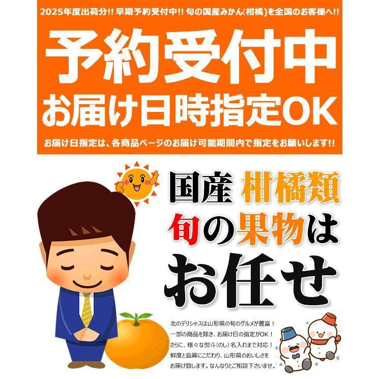 予約】産地厳選 国産 みかん 温州みかん 10kg (秀品/S-2L/常温便 予約】産地厳選 国産 みかん 温州みかん 10kg (秀品/S-2L/常温便