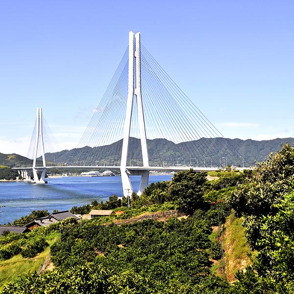 予約】産地厳選 国産 みかん 温州みかん 10kg (秀品/S-2L/常温便 予約】産地厳選 国産 みかん 温州みかん 10kg (秀品/S-2L/常温便