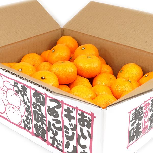 予約】産地厳選 国産 みかん 温州みかん 5kg (秀品/S-2L/常温便 予約】産地厳選 国産 みかん 温州みかん 5kg (秀品/S-2L/常温便