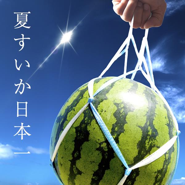 【予約】山形県産 ご家庭用 尾花沢すいか 2玉 (1玉 約8kg) わけあり 訳あり 尾花沢 夏スイカ 生産量日本一 西瓜 大玉 自宅用 果物 送料無料 お取り寄せ｜g-hokkaido｜06