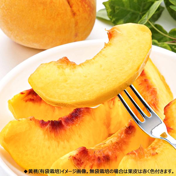 食品 フルーツ 桃