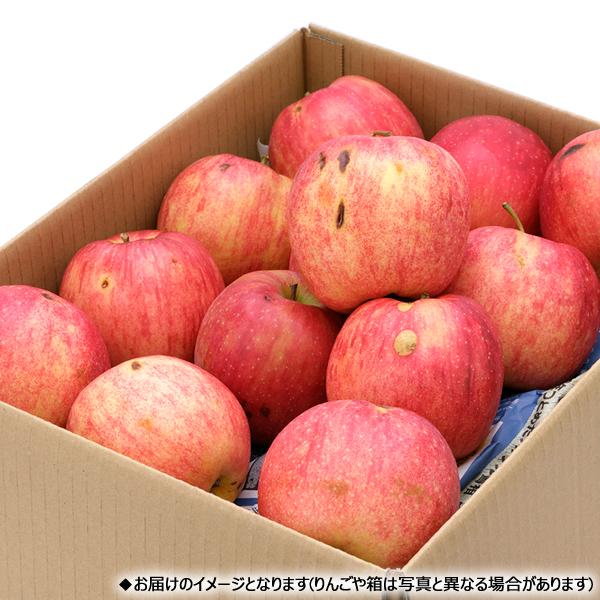 【予約】山形県産 ご家庭用 りんご 秋陽 10kg (訳あり/26玉〜46玉入り) 秋の味覚 しゅうよう 林檎 訳あり 自宅用 人気 山形県 産地直送 送料無料 お取り寄せ｜g-hokkaido｜05