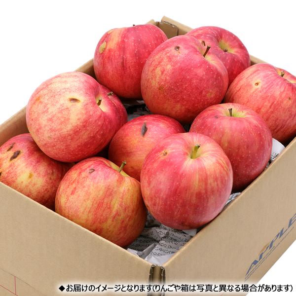 【予約】山形県産 ご家庭用 りんご 秋陽 5kg (訳あり/13玉〜23玉入り) 秋の味覚 しゅうよう 林檎 訳あり 自宅用 人気 山形県 産地直送 送料無料 お取り寄せ｜g-hokkaido｜05