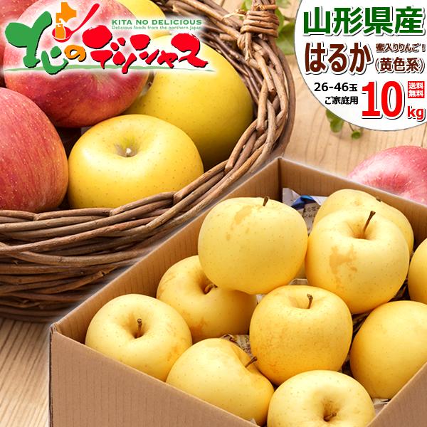 【終了間近】 山形県産 ご家庭用 りんご はるか 10kg (訳あり/26玉〜46玉入り) 2026 旬 蜜入り リンゴ ご自宅用 ご家庭用 冬グルメ グルメ お取り寄せ｜北のデリシャス