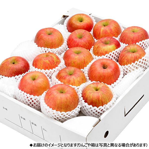 予約】山形県産 りんご 葉とらずふじ 5kg (秀品/13玉〜20玉入り) 2026