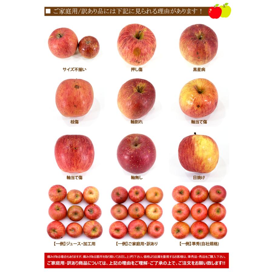 予約】山形県産 ご家庭用 りんご 紅玉 10kg (訳あり/40玉〜60玉 予約】山形県産 ご家庭用 りんご 紅玉 10kg (訳あり/40玉〜60玉