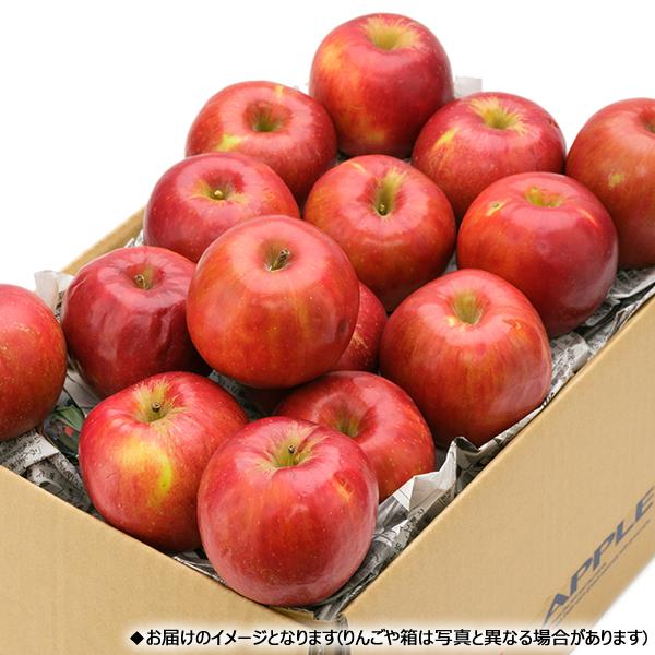 【予約】山形県産 ご家庭用 りんご 紅玉 5kg (訳あり/20玉〜30玉入り) 林檎 青森県産 産地リレー わけあり フルーツ 山形県 産地直送 送料無料 お取り寄せ｜g-hokkaido｜04