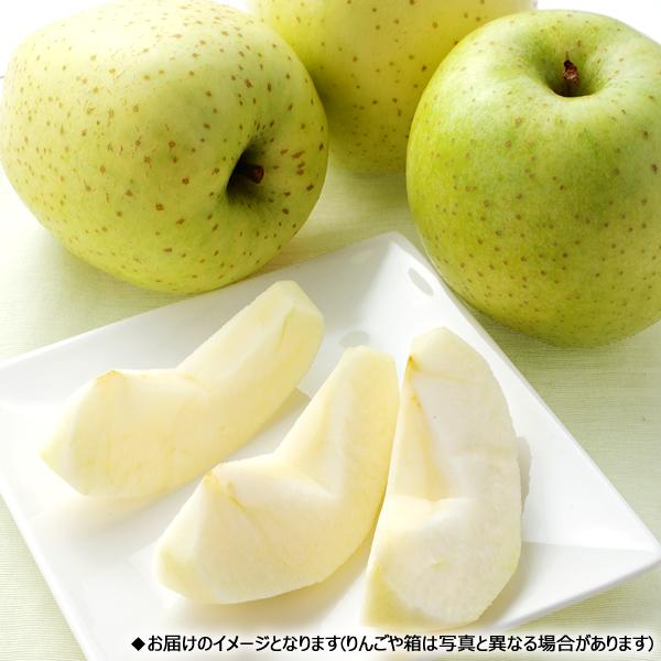 予約】山形県産 ご家庭用 りんご 王林 10kg (訳あり/26玉〜46玉 予約】山形県産 ご家庭用 りんご 王林 10kg (訳あり/26玉〜46玉