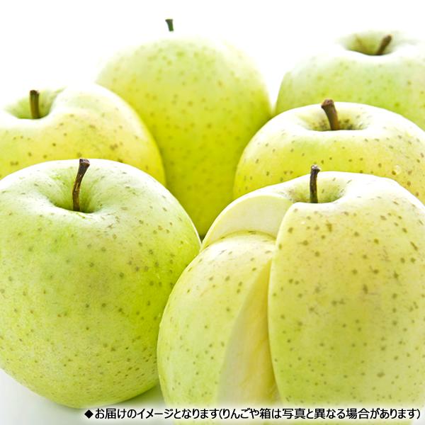 【予約】山形県産 ご家庭用 りんご 王林 5kg (訳あり/13玉〜23玉入り) 旬 リンゴ 訳あり わけあり 自宅用 果物 フルーツ 産地直送 お取り寄せ｜g-hokkaido｜06