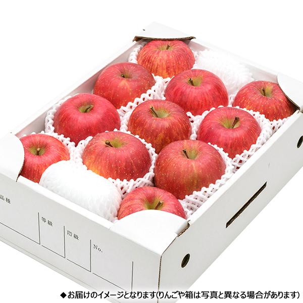 【販売終了】青森県産 りんご サンふじ 3kg (秀品/8玉〜12玉入り) 旬 リンゴ ふじ ギフト 贈り物 お祝 プレゼント 果物 フルーツ 山形県 産地直送 お取り寄せ｜g-hokkaido｜03