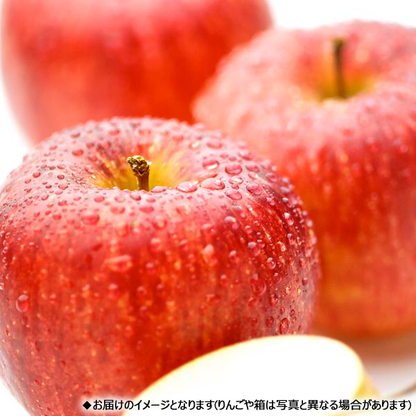 【販売終了】青森県産 りんご サンふじ 5kg (秀品/13玉〜20玉入り) 旬 リンゴ ふじ ギフト 贈り物 お祝 プレゼント 果物 フルーツ 山形県 産地直送 お取り寄せ｜g-hokkaido｜08