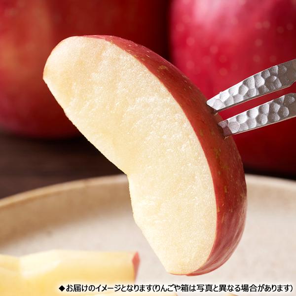 青森県産りんご　お試し用家庭用トキ　5個入り　約２キロ　香りがよく甘さが特徴です