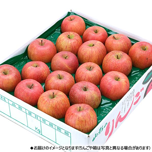 【予約】山形県産 ご家庭用 りんご サンふじ 5kg (準秀品/13玉〜23玉入り) 旬 リンゴ ふじ さんふじ 訳あり わけあり 自宅用 果物 産地直送 お取り寄せ｜g-hokkaido｜02