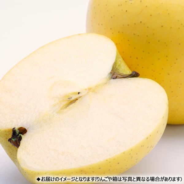予約】山形県産 ご家庭用 りんご シナノゴールド 10kg (訳あり 予約】山形県産 ご家庭用 りんご シナノゴールド 10kg (訳あり