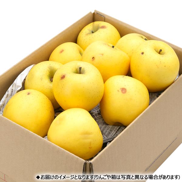 予約】山形県産 ご家庭用 りんご シナノゴールド 5kg (訳あり/13玉〜23