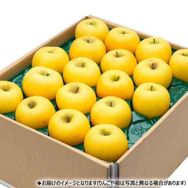 氷温冷蔵　　シナノゴールド　家庭用１０kg 氷温冷蔵 シナノゴールド 家庭用10kg シナノゴールド ご家庭用 約10kg |