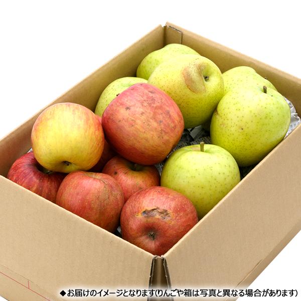 予約】山形県産 ご家庭用 りんご サンふじ&王林 5kg (訳あり/13玉〜23