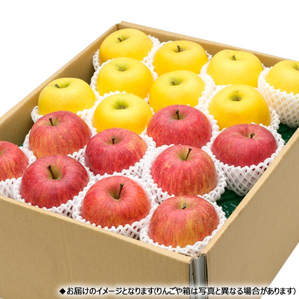サンフジ、シナノゴールド大玉御贈答品 10キロ箱 出荷中】山形県産 りんご サンふじ&シナノゴールド 詰め合わせ 10kg