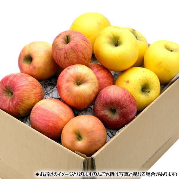 【予約】山形県産 ご家庭用 りんご サンふじ&シナノゴールド 5kg (訳あり/13玉〜23玉入り) 旬 リンゴ 訳あり わけあり 自宅用 果物 フルーツ お取り寄せ｜g-hokkaido｜04