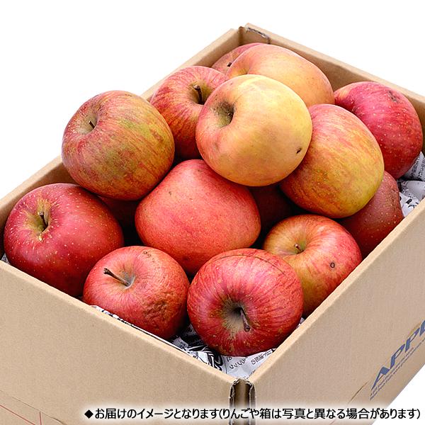 【予約】山形県産 ご家庭用 りんご 早生ふじ 5kg (訳あり/13玉〜23玉入り) 林檎 青森県産 産地リレー わけあり フルーツ 産地直送 送料無料 お取り寄せ｜g-hokkaido｜04