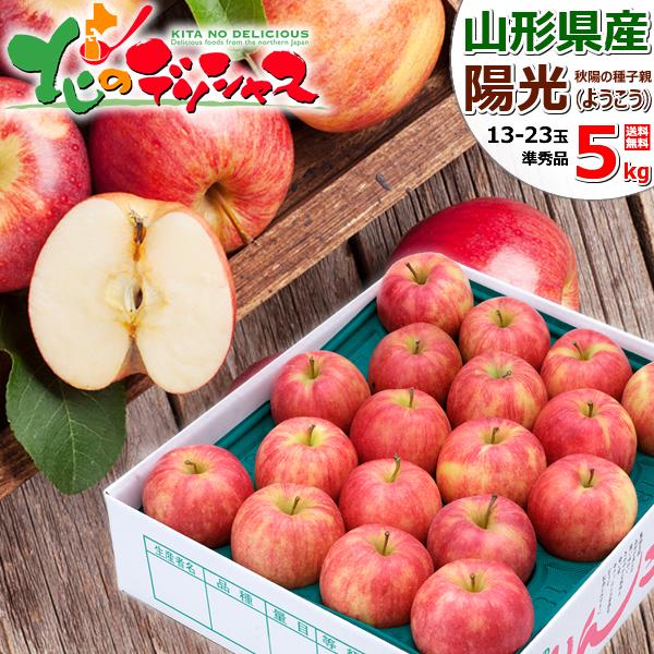 出荷中】山形県産 ご家庭用 りんご 陽光 5kg (準秀品/13玉〜23玉入り 