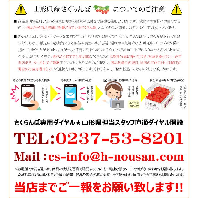 【予約】山形県産 さくらんぼ 紅秀峰 700g (秀品/3Lサイズ/ばら詰め/350g×2p/化粧箱入り) 露地 お中元 ギフト 贈り物 プレゼント 送料無料 お取り寄せ｜g-hokkaido｜14