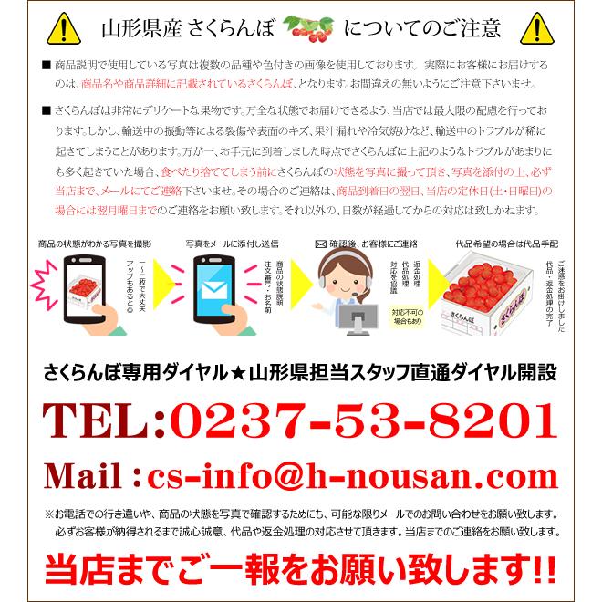 山形県産 ご家庭用 さくらんぼ 紅秀峰 3kg (訳あり/Mサイズ/ばら詰め/クール便) 旬 露地 わけあり 自宅用 家庭用 お得 大盛り 山形県 産地直送 お取り寄せ｜g-hokkaido｜14