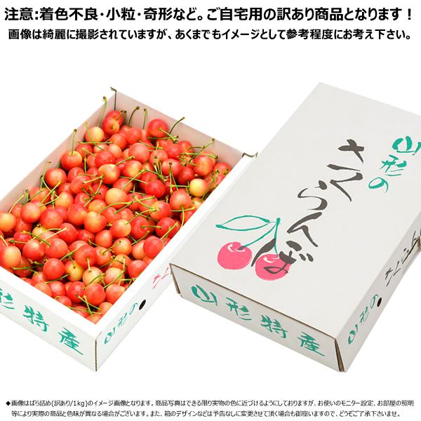 山形県産 ご家庭用 さくらんぼ 紅秀峰 1kg (訳あり/Lサイズ/ばら詰め/クール便) 旬 露地 わけあり 自宅用 家庭用 お得 大盛り 山形県 産地直送 お取り寄せ｜g-hokkaido｜03