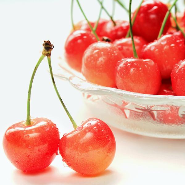 販売終了】山形県産 さくらんぼ 佐藤錦 500g (秀品/Lサイズ/ばら 販売終了】山形県産 さくらんぼ 佐藤錦 500g (秀品/Lサイズ/ばら