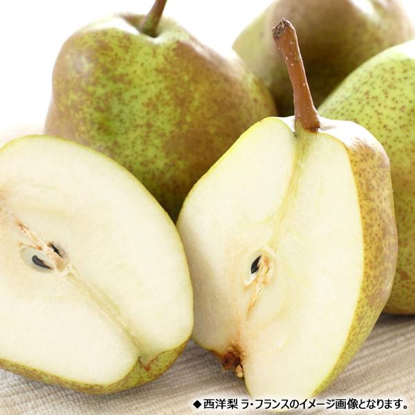 【予約】山形県産 西洋梨 ル・レクチェ 2kg (秀品/6玉〜9玉入り) 西洋梨 洋梨 ギフト 贈り物 贈答 プレゼント のし 果物 フルーツ 山形県 お取り寄せ｜g-hokkaido｜07