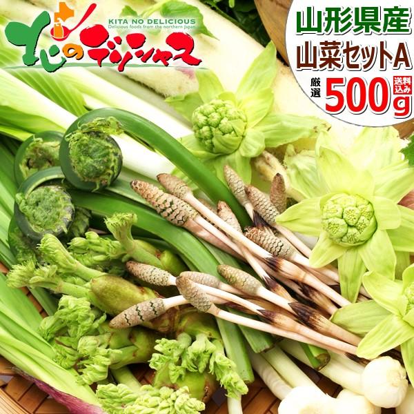 ゆうり様用　月山筍上級品1箱　通常品1箱 蕨3キロ 無農薬野菜　山菜セット 2026年6月】月山筍のおすすめ人気ランキング - Yahoo!ショッピング