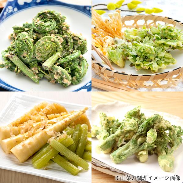 【予約】厳選 東北産 山菜セット A 500g (山菜4種類以上保証) 春の味覚 旬の味覚 山の幸 詰め合わせ 天然 人気 山形 産地直送 グルメ お取り寄せ｜g-hokkaido｜06