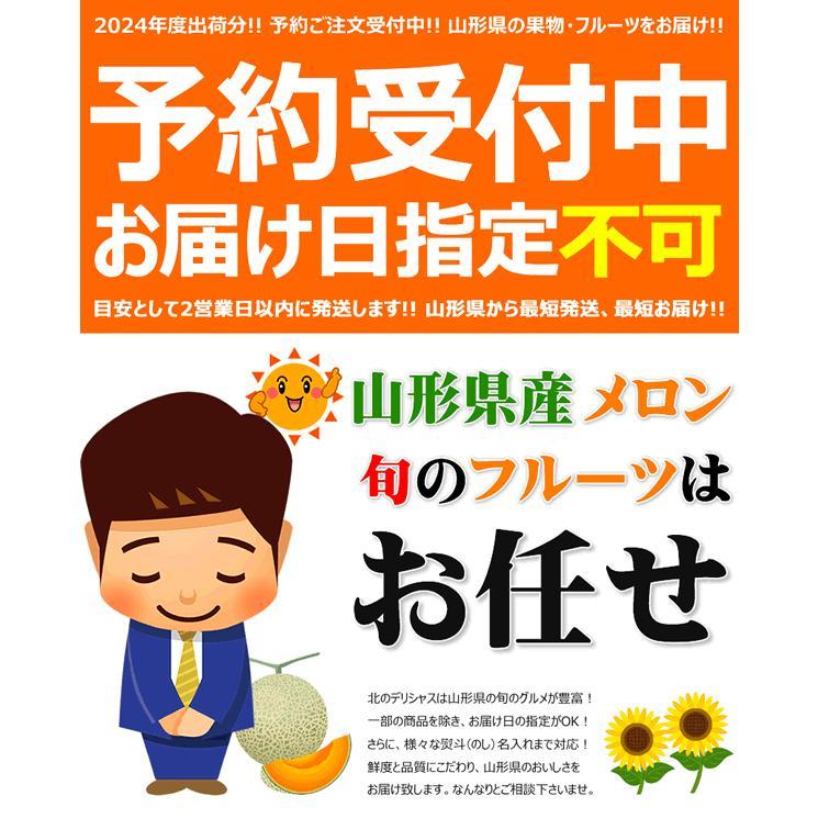 【予約/お届け日指定不可】山形県産 ご家庭用 庄内砂丘メロン (青肉) 4kg箱 (優・良品/1箱 4〜6玉入り) 訳あり 自宅用 フルーツ 山形県 送料無料 お取り寄せ｜g-hokkaido｜10